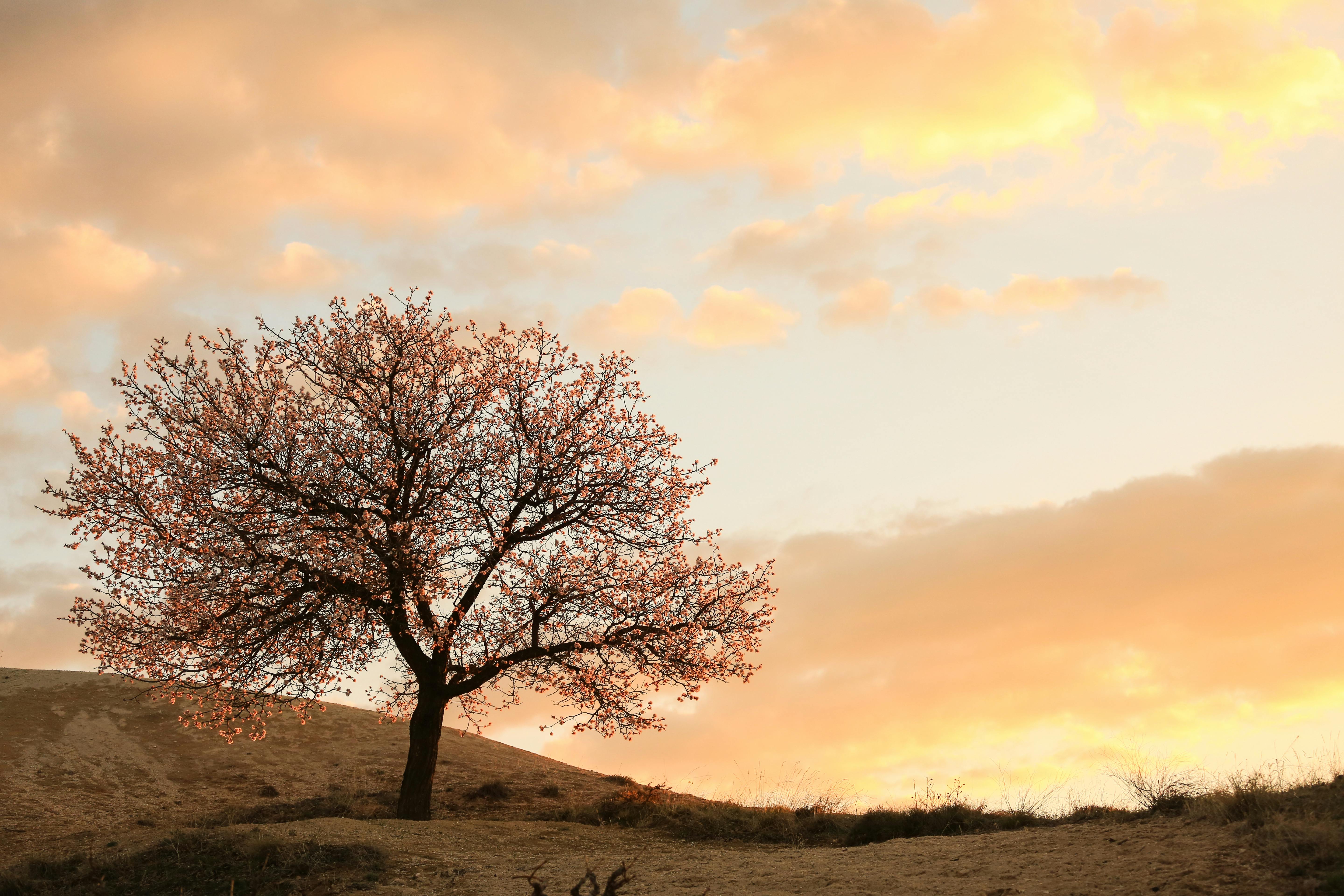 A imagem apresenta o grupo musical Os mutantes, sao tres pessoas cantando em  dois microfones